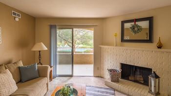 Wood-burning fireplace